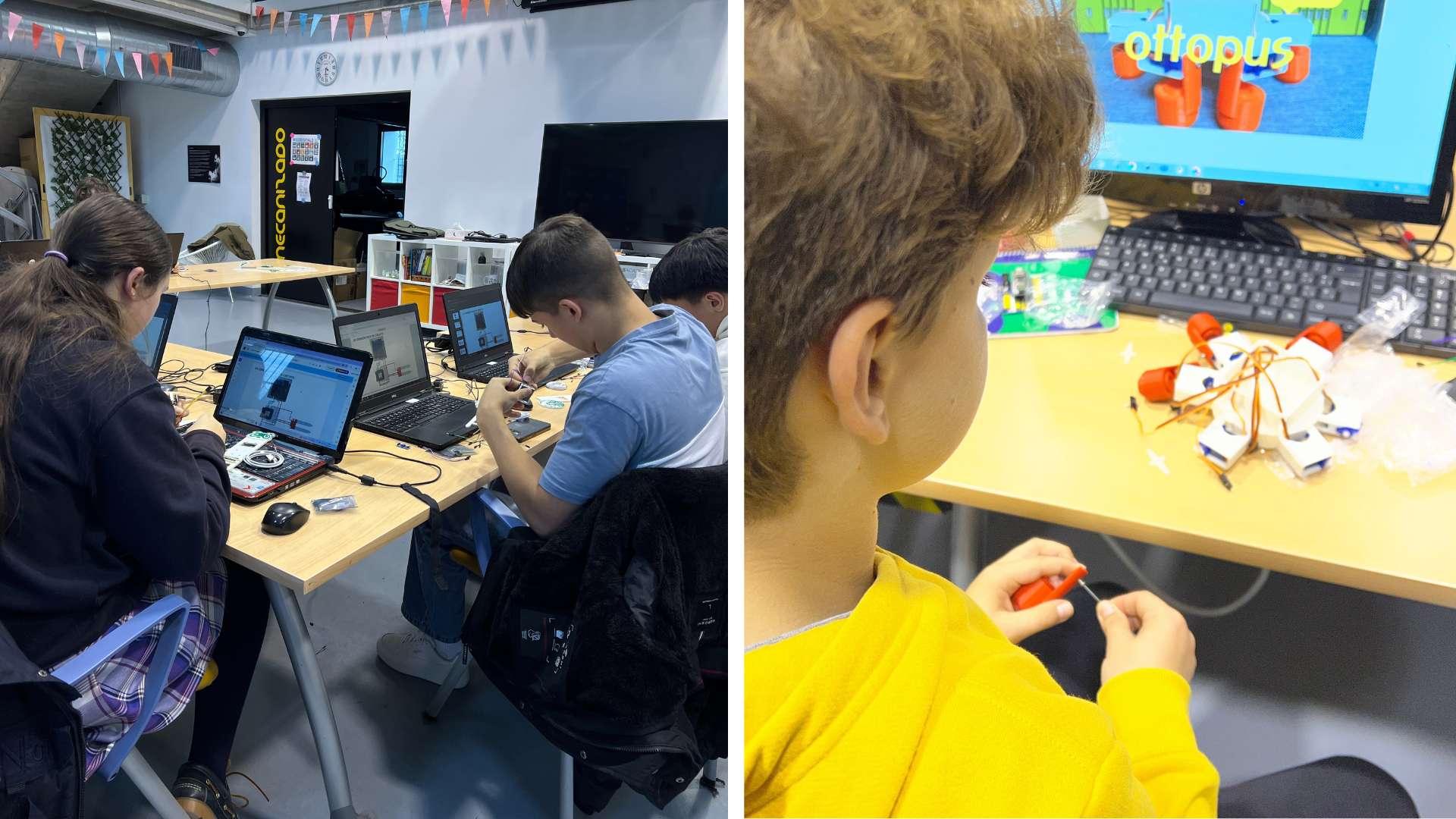 Proyectos para todos los niveles